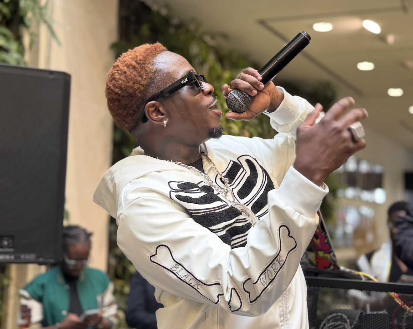 34 ans, le Zenith et une surprise : Didi B ne fait rien comme les autres